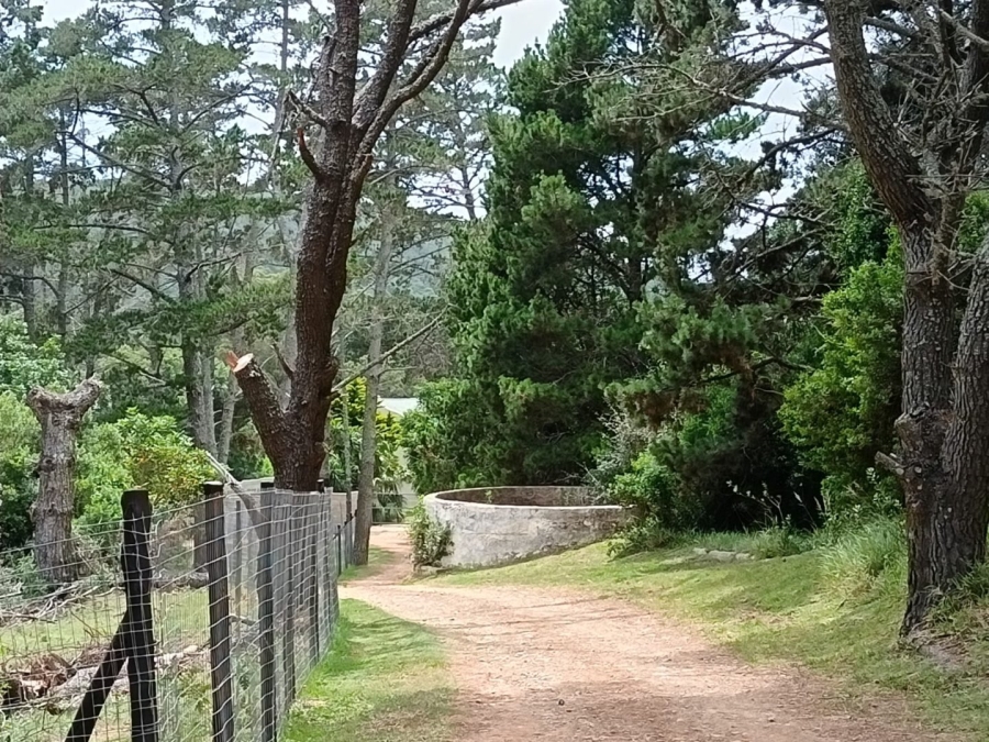 Commercial Property for Sale in Colleen Glen Eastern Cape